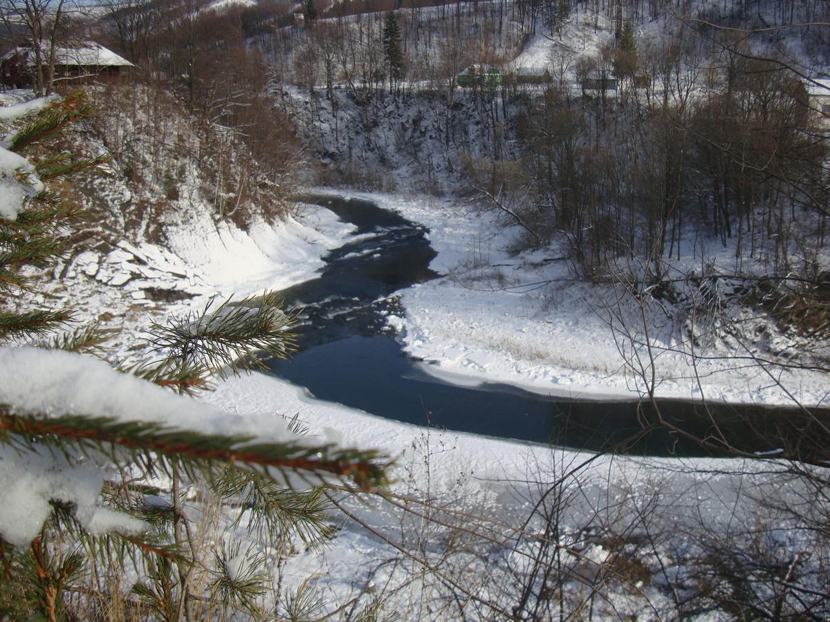 Котедж Гірський Yaremche Eksteriør billede